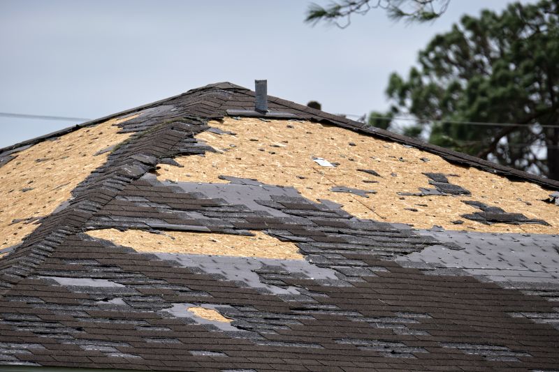 Repaired Roof Surface